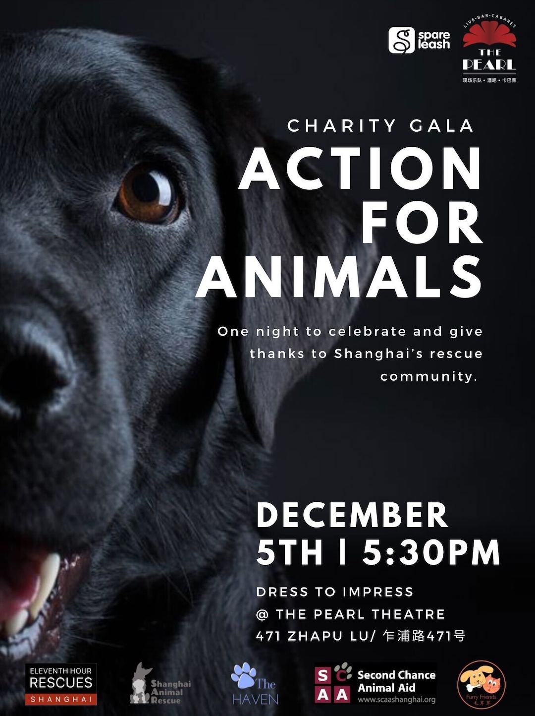 Buy Tickets for Action for Animals Charity Gala in Shanghai |   by SmartShanghai
